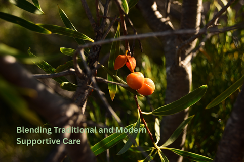 Indigenous Perspectives on Cancer Healing